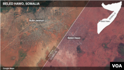 索馬里激進組織青年黨星期一凌晨向索馬里與肯尼亞邊界附近的一座索馬里城鎮發動攻擊。