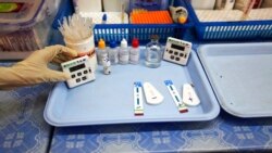 Dhukkuba Busaa fi Eedsii Addunyaa Irraa