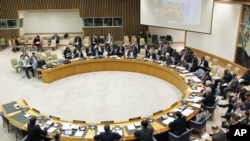 联合国安理会召开会议(资料照片)