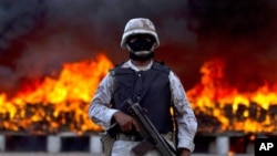 墨西哥政府正銷毀毒品。