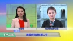 VOA连线：美国庆祝退伍军人节