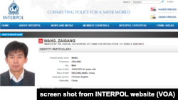2015年中国政府通过国际刑警组织通缉王在刚（网络截图）