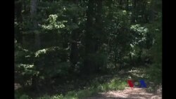 美国年轻科学家的绿色点子