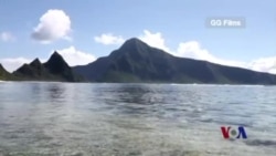 适应地球升温的珊瑚