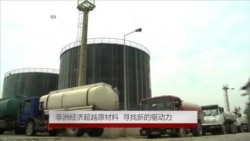 专家：非洲经济超越原材料 寻找新的驱动力