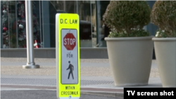 美国首都华盛顿市的人行道标志 (视频截图)