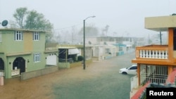 社交媒体图片显示飓风玛利亚带来的洪水淹没波多黎各道路