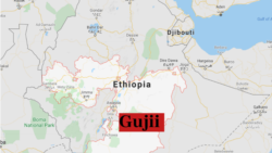 ‘Aanotii Gammoojjii Gujii Bahaa Keessati Namootni Hedduun Hidhamaa jiru’ - Jiraattota