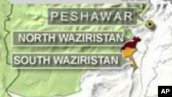 疑似美国导弹炸死两名巴基斯坦激进分子