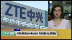 VOA连线(易林)：川普政府就中兴与中国达成协议 可能与国会发生激烈碰撞