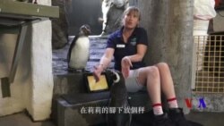 美國專訊 726 (2018年3月31日)