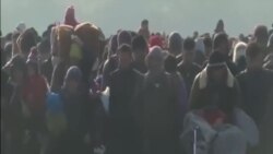 德州取消對安置敘難民計劃的司法挑戰