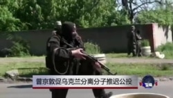 普京呼吁乌克兰分离分子推迟分离公投