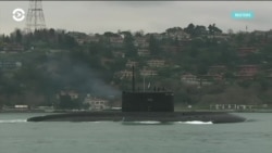 Инцидент с «Лошариком»: мнения экспертов