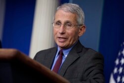 FILE - Director of the National Institute of Allergy and Infectious Diseases Dr. Anthony Fauci speaks during a coronavirus task force briefing at the White House, April 10, 2020.