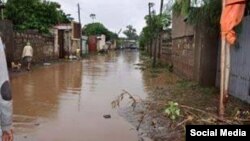 Bokkaa Adaamaatti roobe