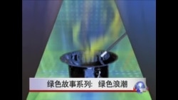 绿色故事系列： 绿色浪潮