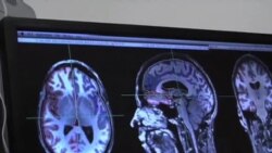 美國專訊 479 (2013年7月7日)