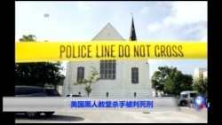 美国查尔斯顿教堂枪杀案凶手被判死刑