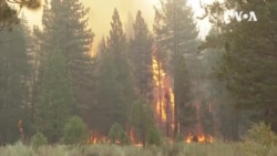 太浩湖附近的滅火行動出現進展