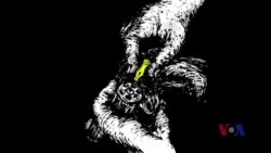 火墙内外：高瑜身陷囹圄凸显中共排斥异己无底线