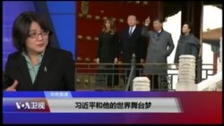 VOA连线(斯洋)：年终报道：习近平和他的世界舞台梦