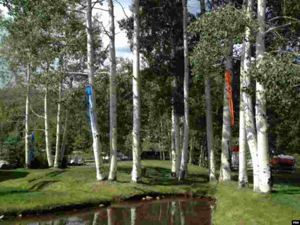 会场随处可见的白杨树（美国之音宁馨拍摄）