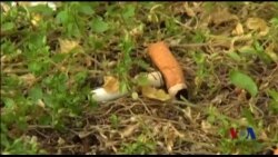 世卫组织称烟草产业对经济有负面影响