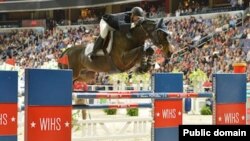 Dorgommii Fardoo addunyaa dhiyoo tanaa DC-tti dorgoman Makneel Warditti moo'ee doolara kuma 125 badhaafame