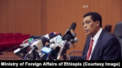 Dubbii himaan ministrii dantaa alaa Itiyoophiyaa, Diinaa Muftii 