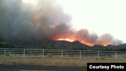 2013年6月30日美国西北部亚利桑那州的地区发生森林大火的灾情。