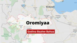 Godina Baalee Bahaatti Vaayirasiin Koroonaa Buufata Poolisiitti Hidhamtoota 50 Tahan Qabe