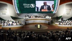 非盟委员会主席法基7月7日在尼日尔举行的非盟峰会上发表讲话