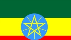 Mootummaan Itiyophiyaa Seera Barreessitoota Interneetii Irraatti Yaaddoo Uume Wixinatee Jira