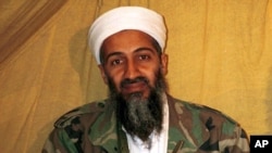 Osama bin Laden 