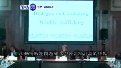 VOA國際60秒(粵語): 2014年08月05日