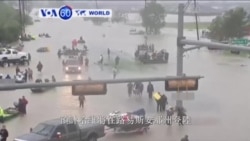 VOA國際60秒(粵語): 2017年8月30日