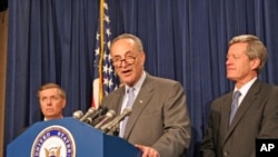 参议员舒默今年9月发表谈话