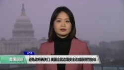 VOA连线(李逸华)：避免政府再关门，美国会就边境安全达成原则性协议