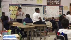 艺术项目 扭转学习