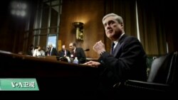 VOA连线(黄耀毅)：涉俄调查转向涉中调查？