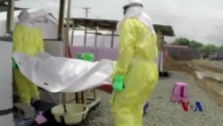 世卫：埃博拉病毒可能会感染两万多人