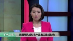 VOA连线：美国电影协会审计发现中国院线瞒报票房