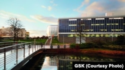 醫藥公司葛蘭素史克在英國的總部。