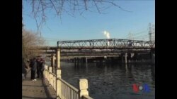 年终报道：中国绿色勇士声势渐大