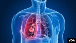 Eski ABD Tahran Büyükelçiliği önündeki duvar resmi önünden geçen İranlı bir kadın