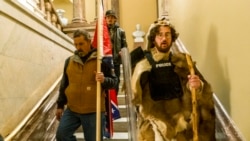 弗吉尼亞州夫婦在衝擊國會案中認罪，為類似案件設立先例