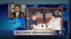 VOA卫视（2015年1月10日 第二小时节目：焦点对话 完整版(重播）)