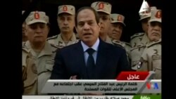 2015-02-01 美國之音視頻新聞: 埃及總統稱打擊激進分子是持久戰