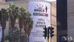 金砖国家领导人担忧世界贸易保护主义抬头